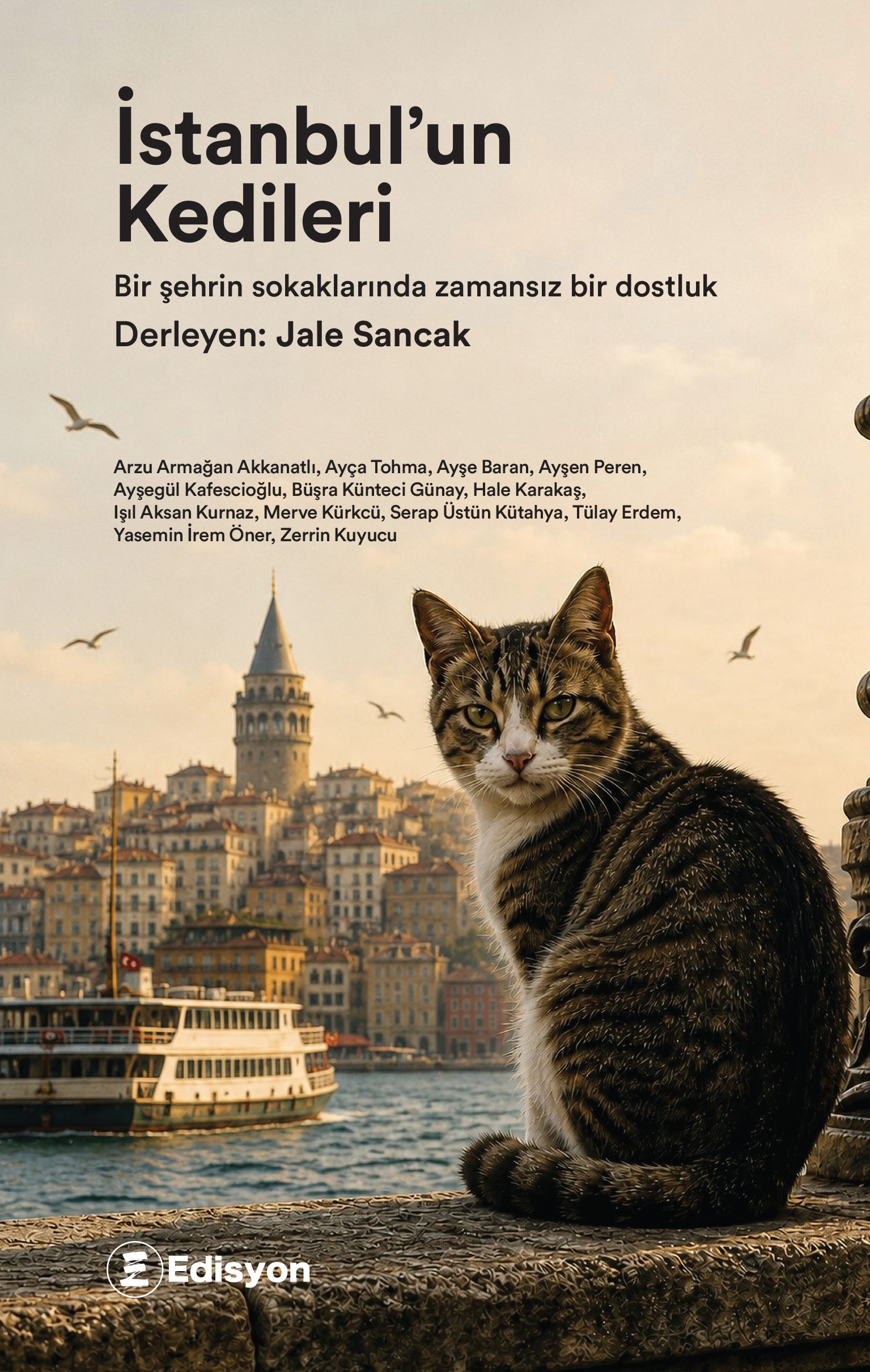 İstanbul’un Kedileri
